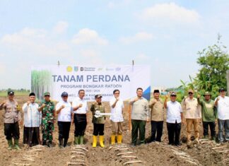 Bongkar Raton, Sinergi Pemerintah bersama Pabrik Gula Tjoekir Wujudkan Swasembada Gula 2027