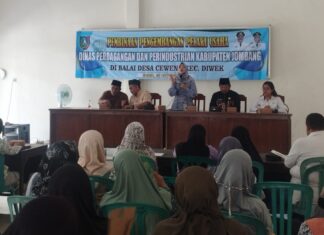 Tingkatkan Kemampuan dan Wawasan UMKM, Disdagrin Lakukan Pembinaan Pelaku Usaha