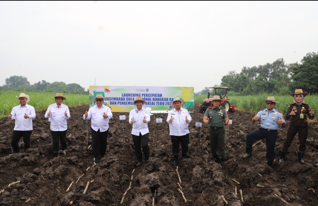 Launching Bongkar Ratoon dan Pengembangan Areal Tebu, Komitmen Pemkab ...