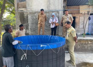Camat Diwek Pantau Program Desa Mantra, Sejahterakan Warga Melalui Perikanan