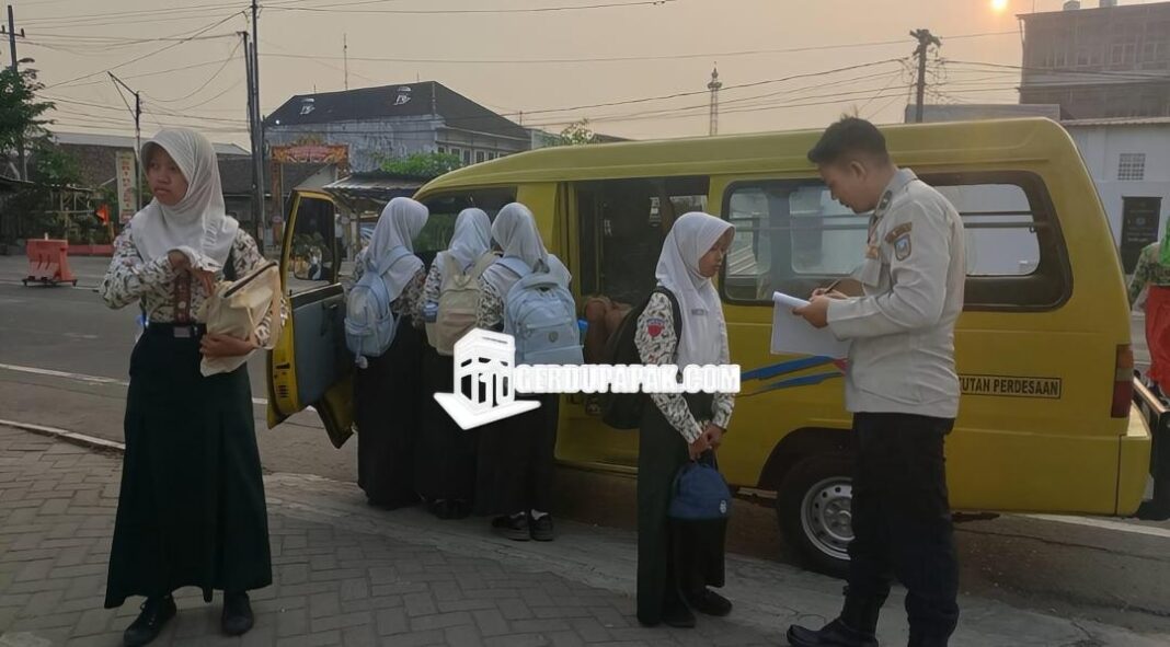 Oplus_16908288